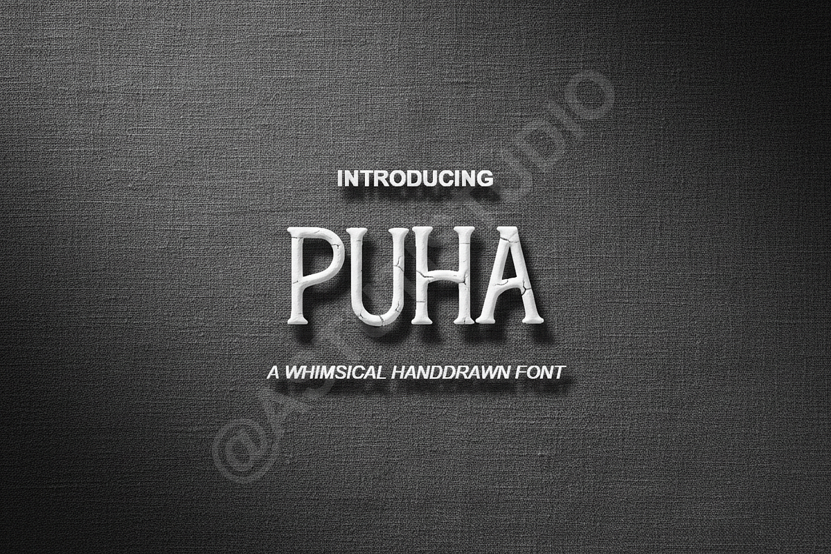 Puha | Modern Elegant Serif Typefac, a Serif Font by Astuti Studio (Photo 1 of 16)