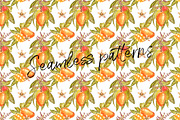 Mango clipart in botanical style, a Food Illustration by Ann Astro (Thumbnail 8 of 10)