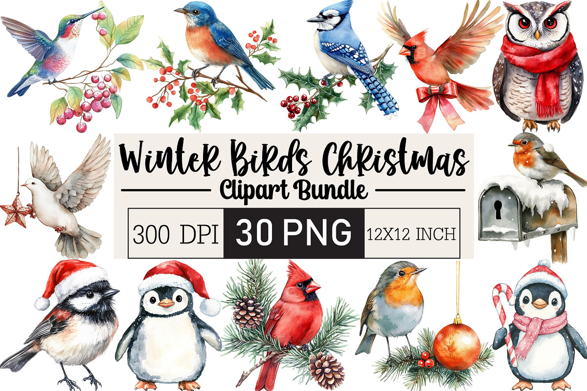 Winter Birds Christmas Clipart, an Illustration by Black Bird Studio (Photo 1 of 6)
