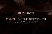 Papillon - Handcrafted Serif Font, a Serif Font by VP Fonts (Thumbnail 12 of 13)