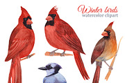 Watercolor winter garden, an Illustration by s.yanyeva (Thumbnail 11 of 12)