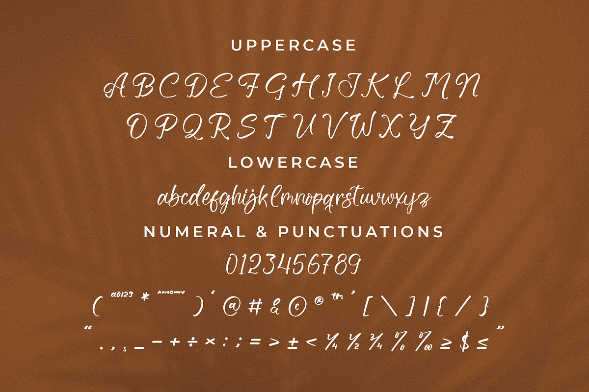 Zeyatte Kareety, a Script Font by Integritype Studio (Photo 9 of 15)