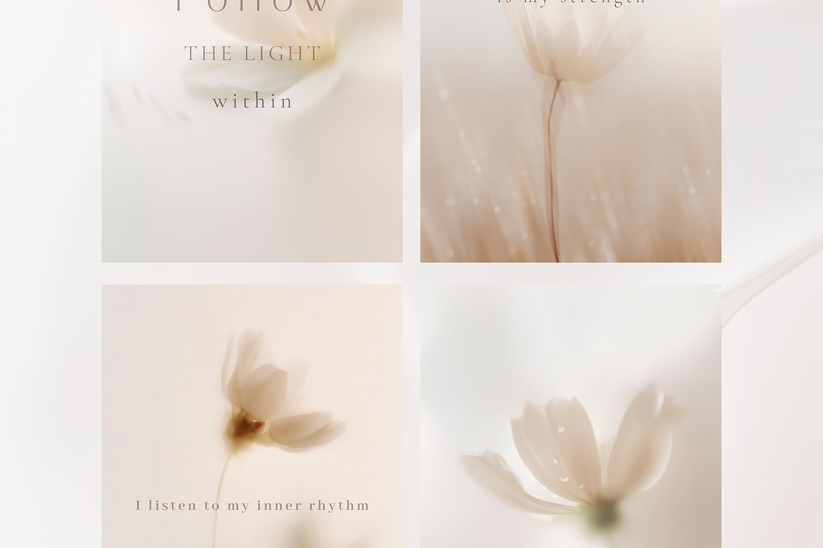 Ethereal Floral Backgrounds Bundle, an Abstract Photo by Allure Art (Photo 17 of 26)