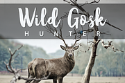 Oqagies Brush + Bonus, a Script Font by Barland Design (Thumbnail 6 of 8)