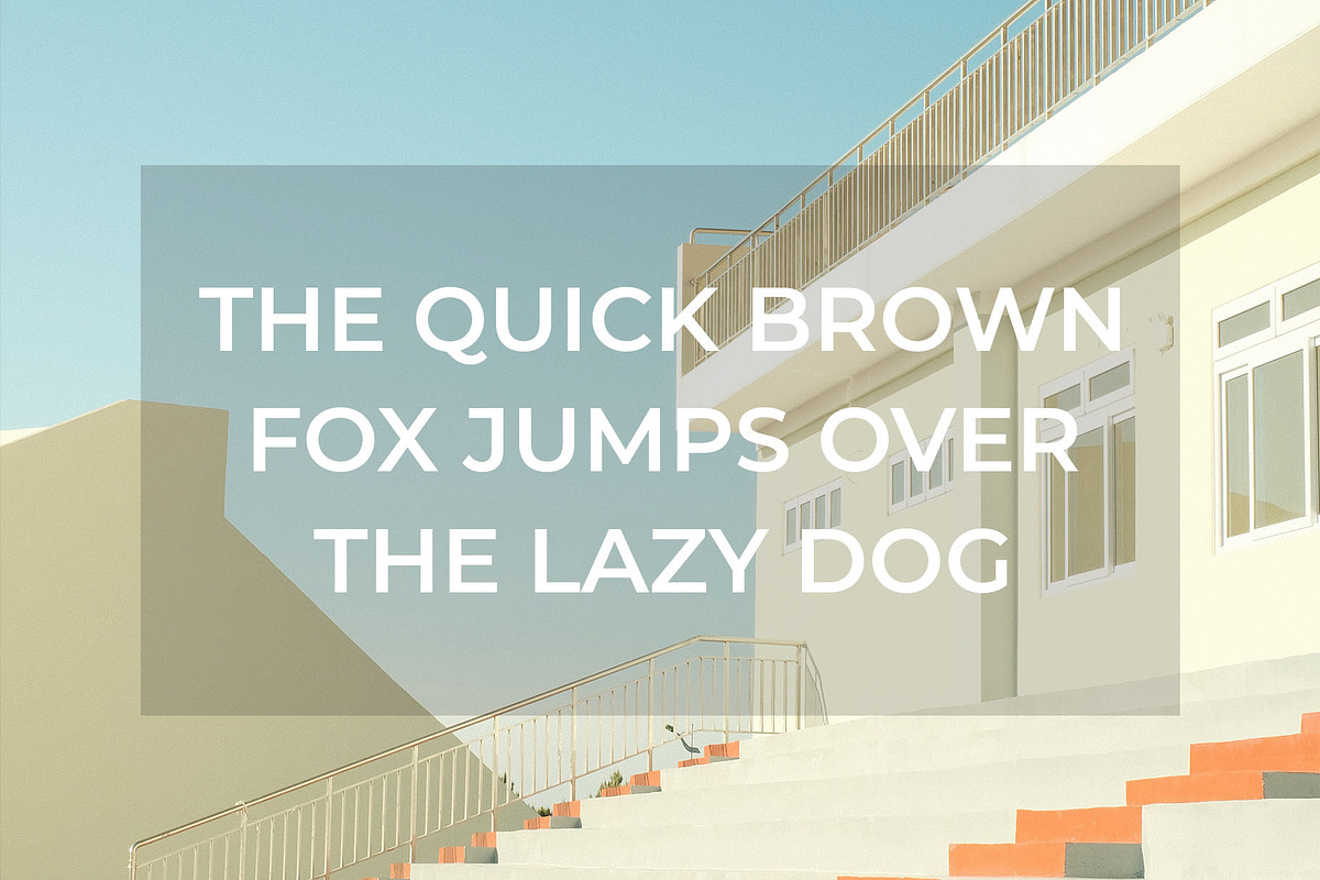 Single Memory - Modern Sans Serif, a Sans Serif Font by TypeLogue (Photo 2 of 5)