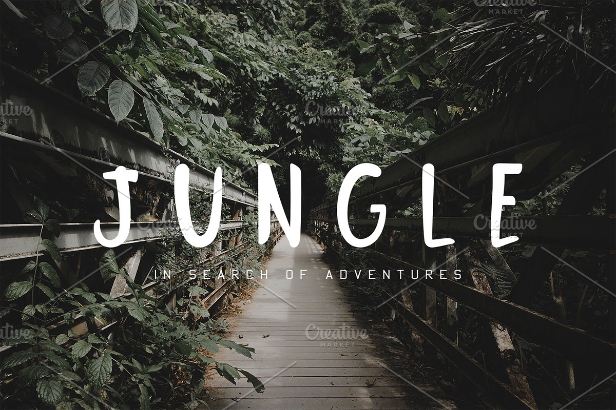 Jungle Display Font, a Script Font by Nadezda (Photo 1 of 8)