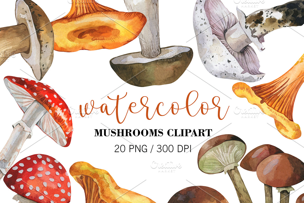 Watercolor Mushrooms clipart, PNG, a Decorative Illustration by PatternPalette (Photo 1 of 2)