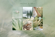 230 Sage Green Stock Images Bundle, a Beauty & Fashion Photo by Allure Art (Thumbnail 4 of 33)