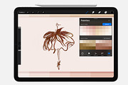 Portrait Assets for Procreate, a Brush Add-On by FaeryDesign (Thumbnail 3 of 28)