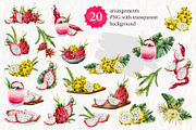 Tropical Dragon Fruit Pitaya Clipart, a Food Illustration by Elena Malgina Clipart (Thumbnail 4 of 12)