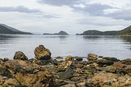 Rocky shore, tierra del fuego park, argentina, a Nature Photo by DanFLCreativo