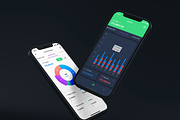 Monsy-Income & Expense Money App, an App Template by No.13 (Thumbnail 3 of 4)