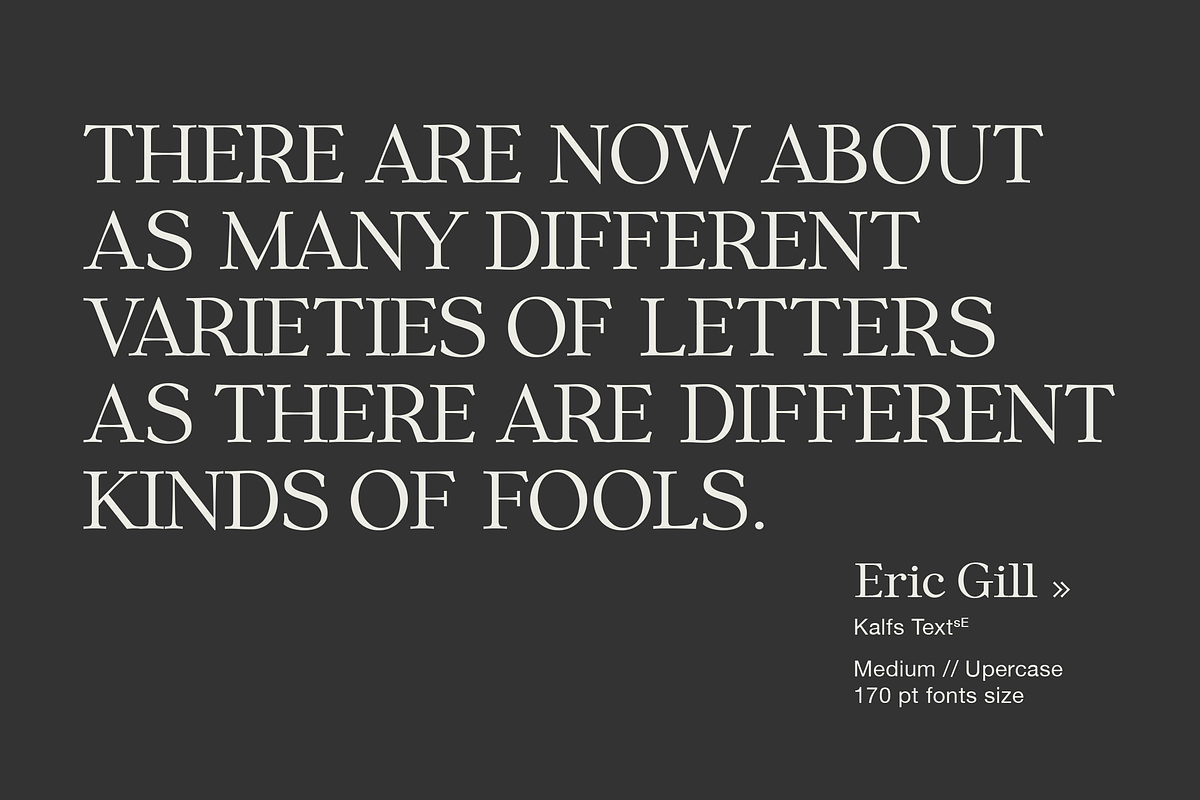 Kalfs Text sE, a Serif Font by silukEight (Photo 2 of 10)