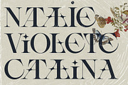 Spanish Archer - Ligature-Rich Font, a Serif Font by SilverStag Type Foundry (Thumbnail 12 of 19)