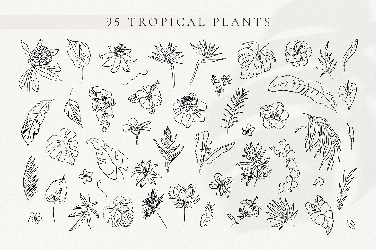 Line Art Tropical Flowers & Leaves, a Decorative Illustration by La Petite Line Art (Photo 3 of 12)