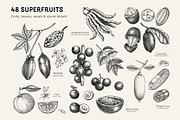Superfoods: Fruit & Nuts Vector Set, a Food Illustration by Yevheniia (Thumbnail 2 of 11)