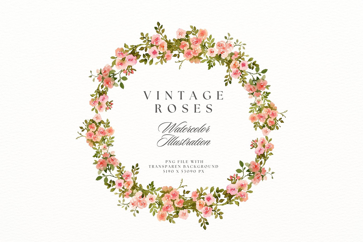 Vintage roses, a Decorative Illustration by AnnelyBlooms (Photo 4 of 7)