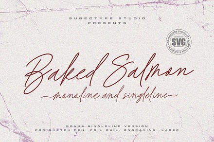 Baked Salmon - Monoline Script Font