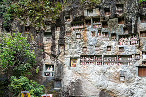 Funeral cliff site of Lemo in Toraja, Sulawesi, Indonesia, a Nature Photo by GoodGoods