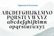 Lah Kagok, a Serif Font by Differentialtype (Thumbnail 7 of 9)