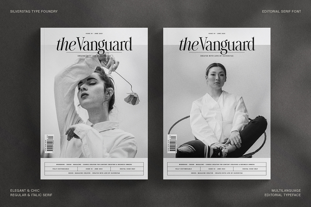 The Silver Editorial Serif Font, a Serif Font by SilverStag Type Foundry (Photo 9 of 25)