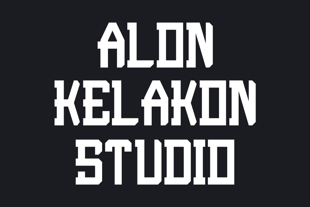 Burnois, a Serif Font by alon kelakon (Photo 4 of 6)