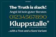 XXII Elissa, a Serif Font by Doubletwo Studios (Thumbnail 12 of 25)
