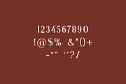 Aiguilette Luxury Serif Font, a Serif Font by UICreative (Thumbnail 10 of 12)