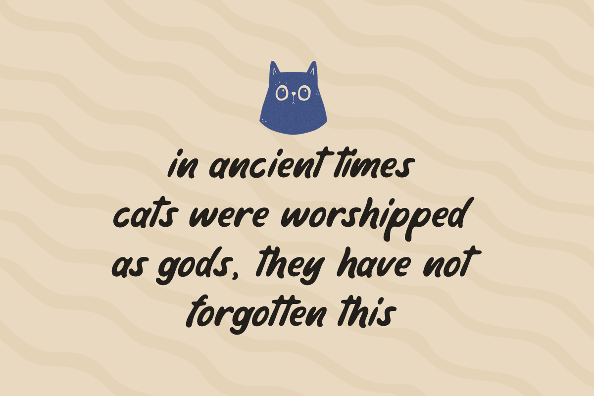 The Kindamana - Handwritten Display, a Font by Rillatype (Photo 3 of 12)