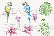 Tropical Parrots Watercolor Clipart, a Decorative Illustration by STASIstudio (Thumbnail 2 of 4)