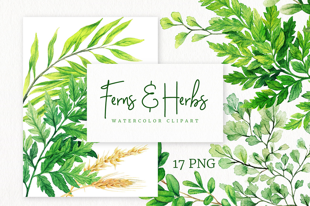 Ferns. Watercolor Botanical Clipart, an Object Graphic by JSolomatina (Photo 1 of 3)