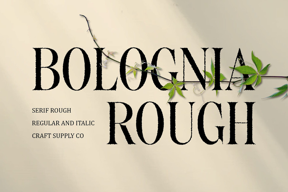 Bolognia Rough, a Serif Font by Craft Supply Co. (Photo 1 of 8)