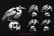10 Bundle Dark Art Heron Bird Skull, an Illustration by Morspective (Thumbnail 5 of 7)