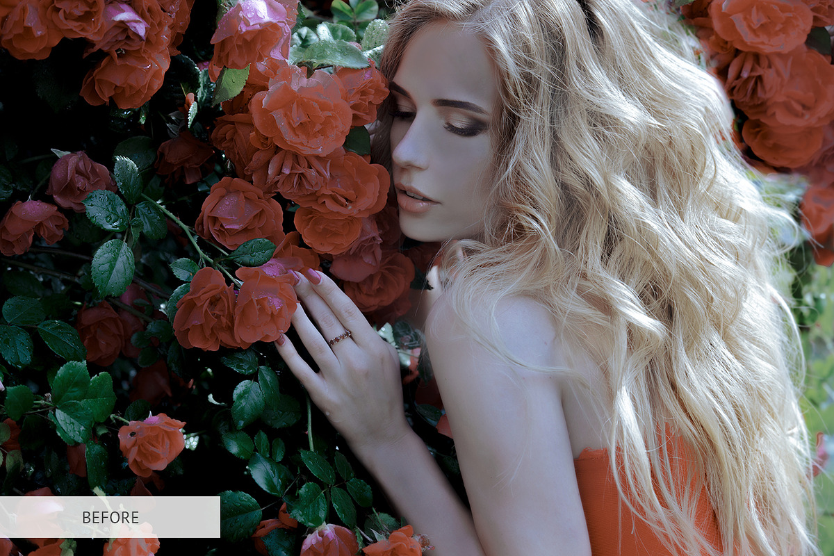 Rose Petals Photoshop Overlays, a Plug-in Add-On by FixThePhoto (Photo 31 of 34)