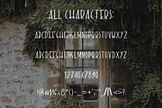 The Secret Door. Cute handdrawn font, a Serif Font by Sentimental postman (Thumbnail 4 of 4)