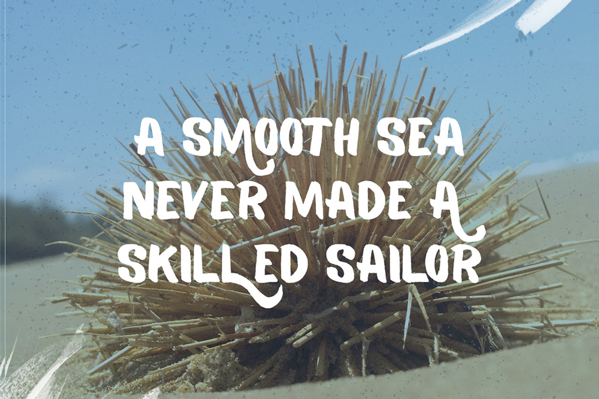 Balmy Brush Font, a Font by BorisG (Photo 10 of 10)