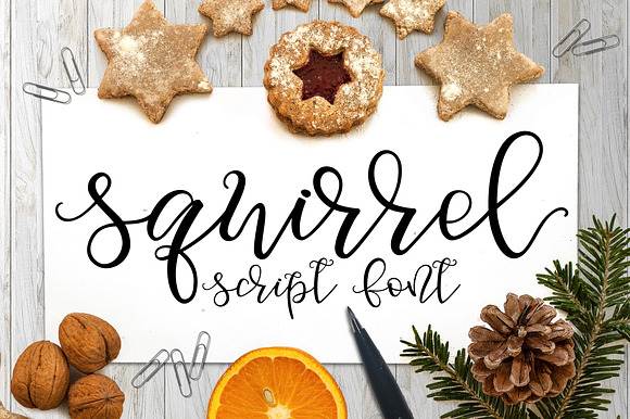 Squirrel Script preview 8