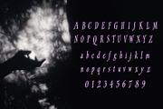 Gothic Romantic Display Serif Font, a Serif Font by foxsong (Thumbnail 4 of 6)