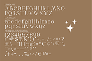 Alika Minimalist Serif Font, a Serif Font by Storytype Studio (Thumbnail 6 of 8)