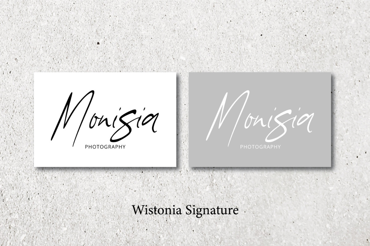 Wistonia - Handwritten Signature, a Script Font by tebaltipislab (Photo 6 of 7)