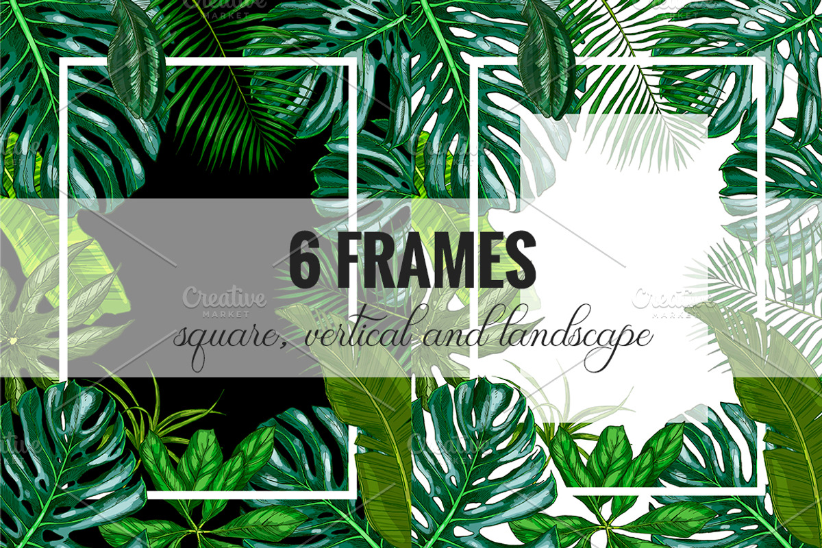 Tropical leaves. Vector Collection, an Illustration by JSolomatina (Photo 5 of 5)