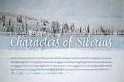 Siberius Clean Script Typeface, a Script Font by lissius (Thumbnail 7 of 9)