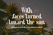 Cergian Elegant Ligature Serif Font, a Serif Font by Perfectype (Thumbnail 5 of 6)