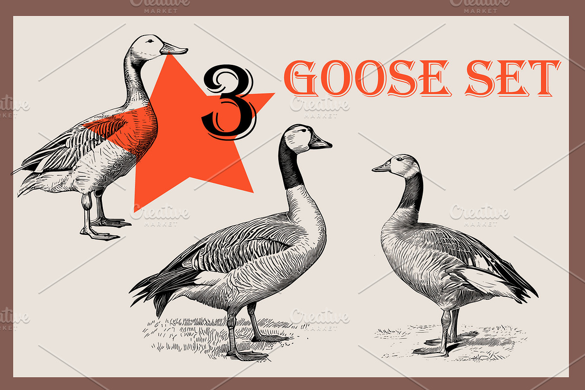 Farm animals collection, a Graphic by IPVector (Photo 7 of 7)