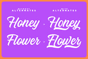 Honeybloom – Timeless Brush Script, a Script Font by Almarkhatype (Thumbnail 2 of 11)