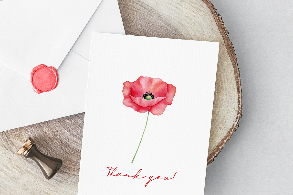 Poppies clipart Watercolor, an Illustration by Daryartsy (Photo 3 of 14)