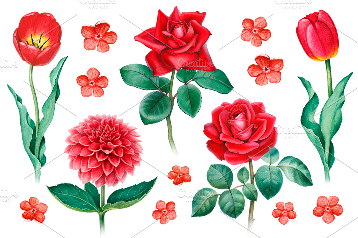 Red summer nature illustrations kit, a Texture Illustration by Sundra (Photo 4 of 7)