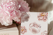 Timeless Blossoms_Watercolor Clipart, an Object Graphic by NikiArts (Thumbnail 4 of 12)