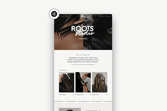 Roots Studio Wordpress Template preview 8