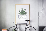 Cactus collection, an Illustration by Watercolor & sketches (Thumbnail 7 of 7)